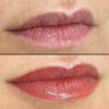 Lips case #10053